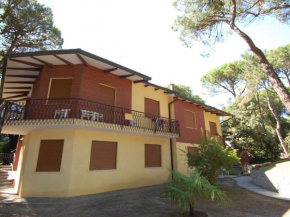 Гостиница Apartment Elios Retro  Розолина Маре